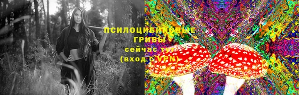 каннабис Михайловка